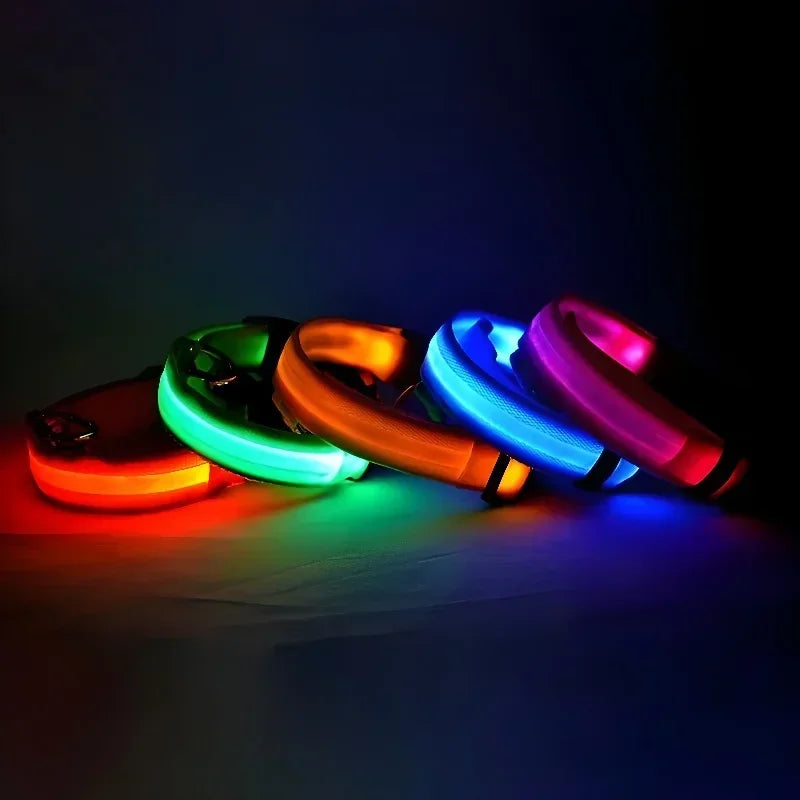 LED Nylon Dog Collar – Night Safety Glow Collar for Dogs