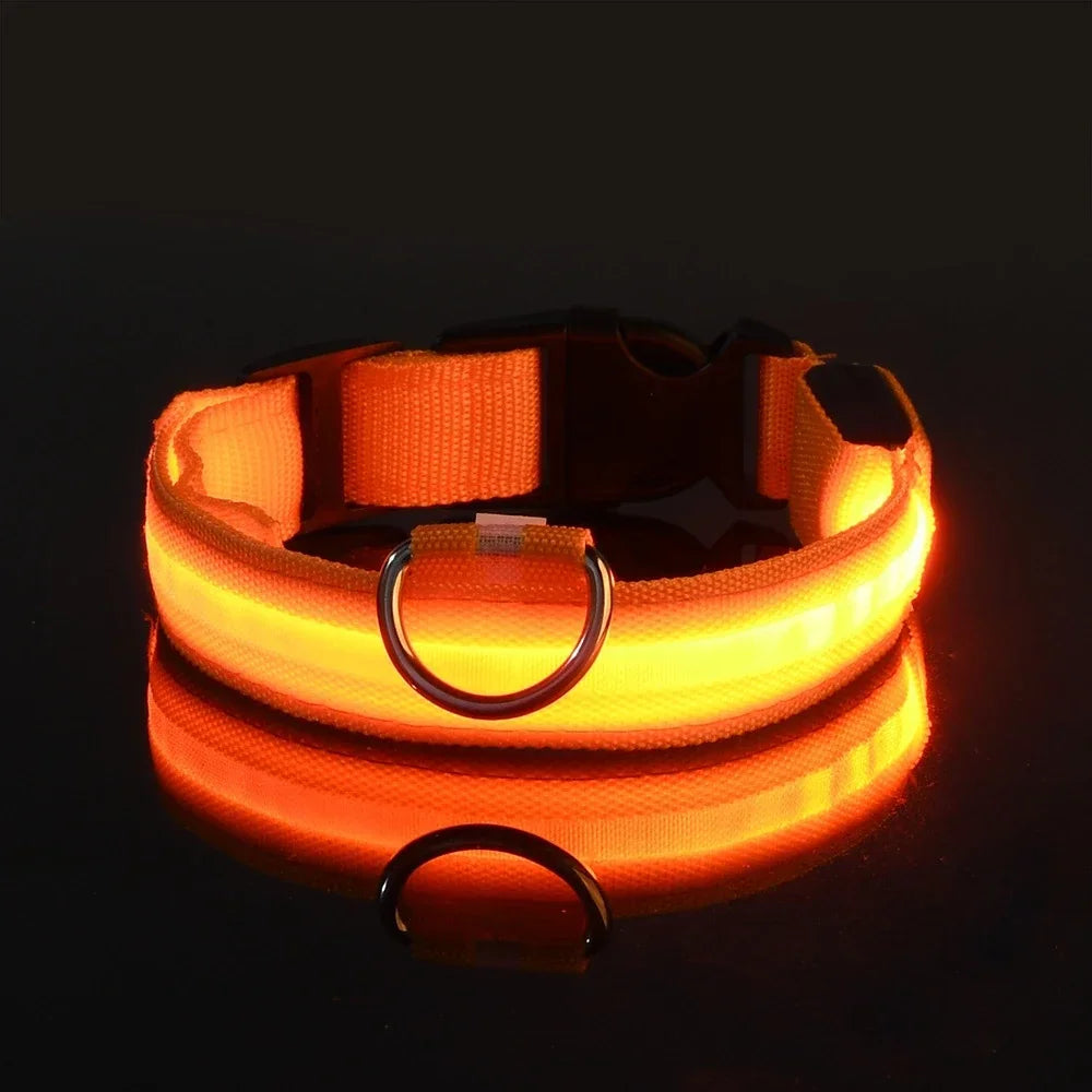 LED Nylon Dog Collar – Night Safety Glow Collar for Dogs