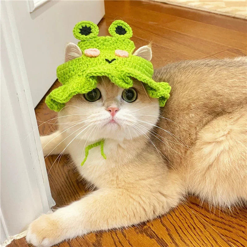 Knitted Pet Hat for Cats & Small Dogs