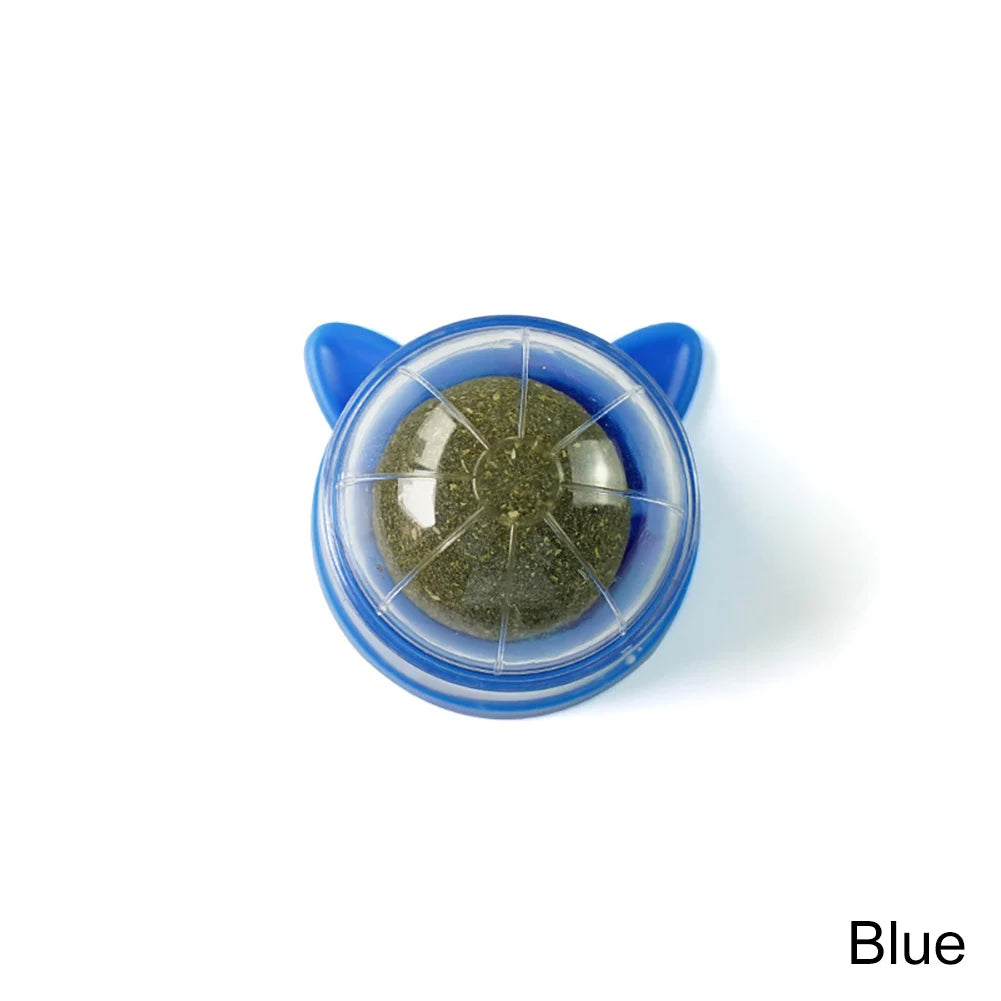 Catnip Lollipop Wall-Mounted Toy