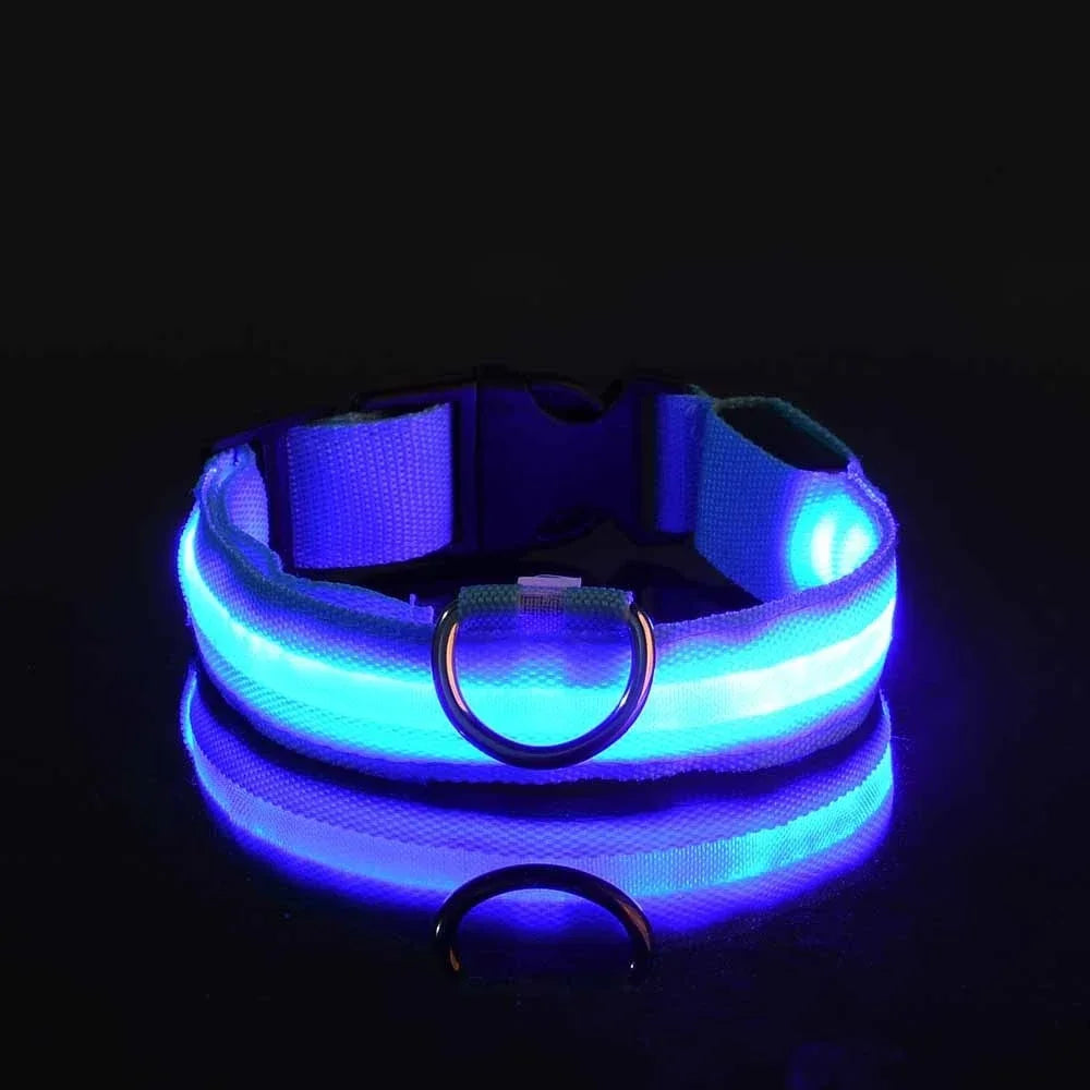 LED Nylon Dog Collar – Night Safety Glow Collar for Dogs