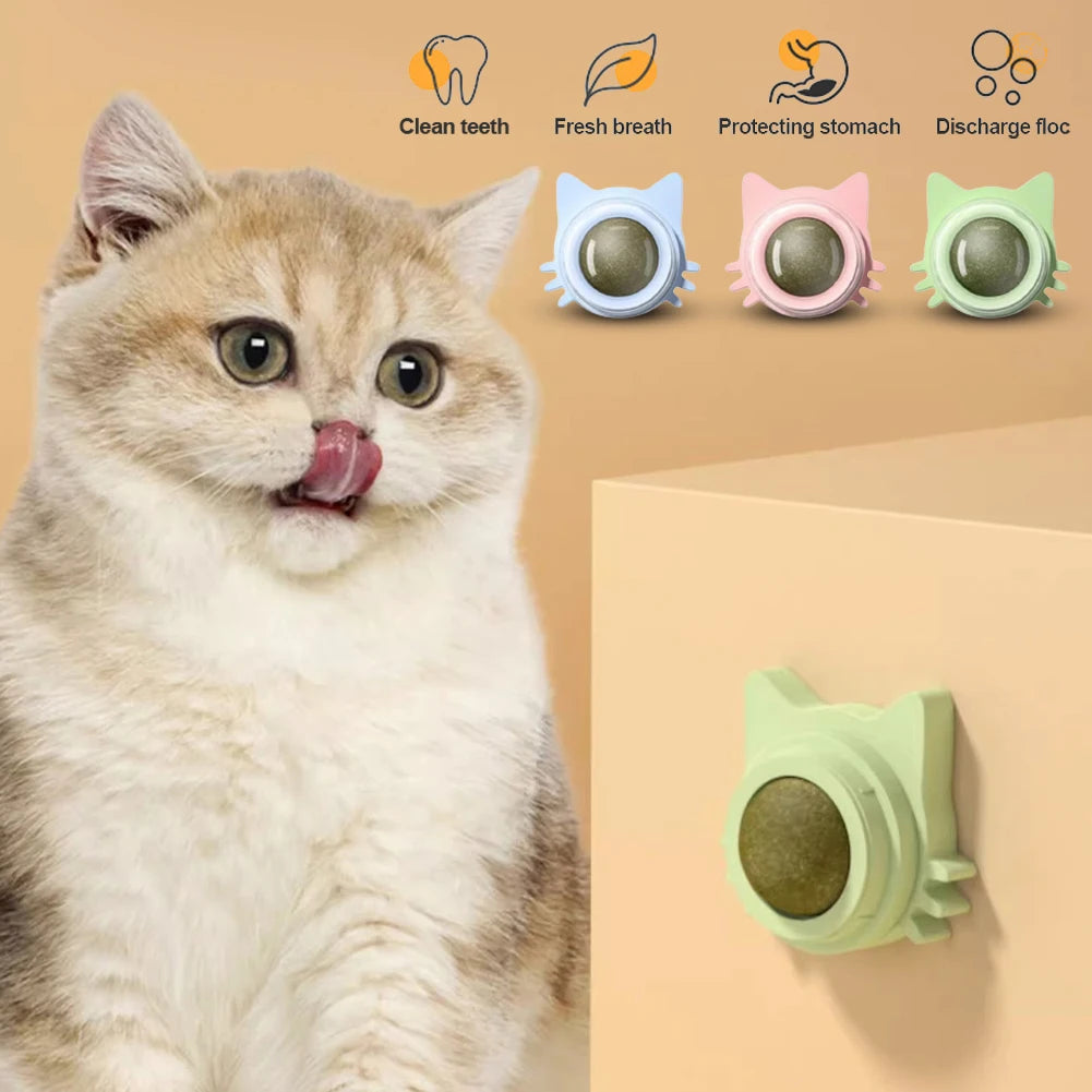 Catnip Lollipop Wall-Mounted Toy