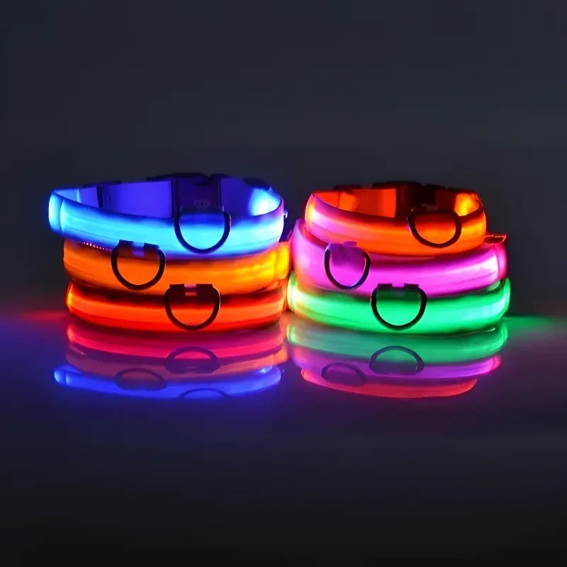 LED Nylon Dog Collar – Night Safety Glow Collar for Dogs