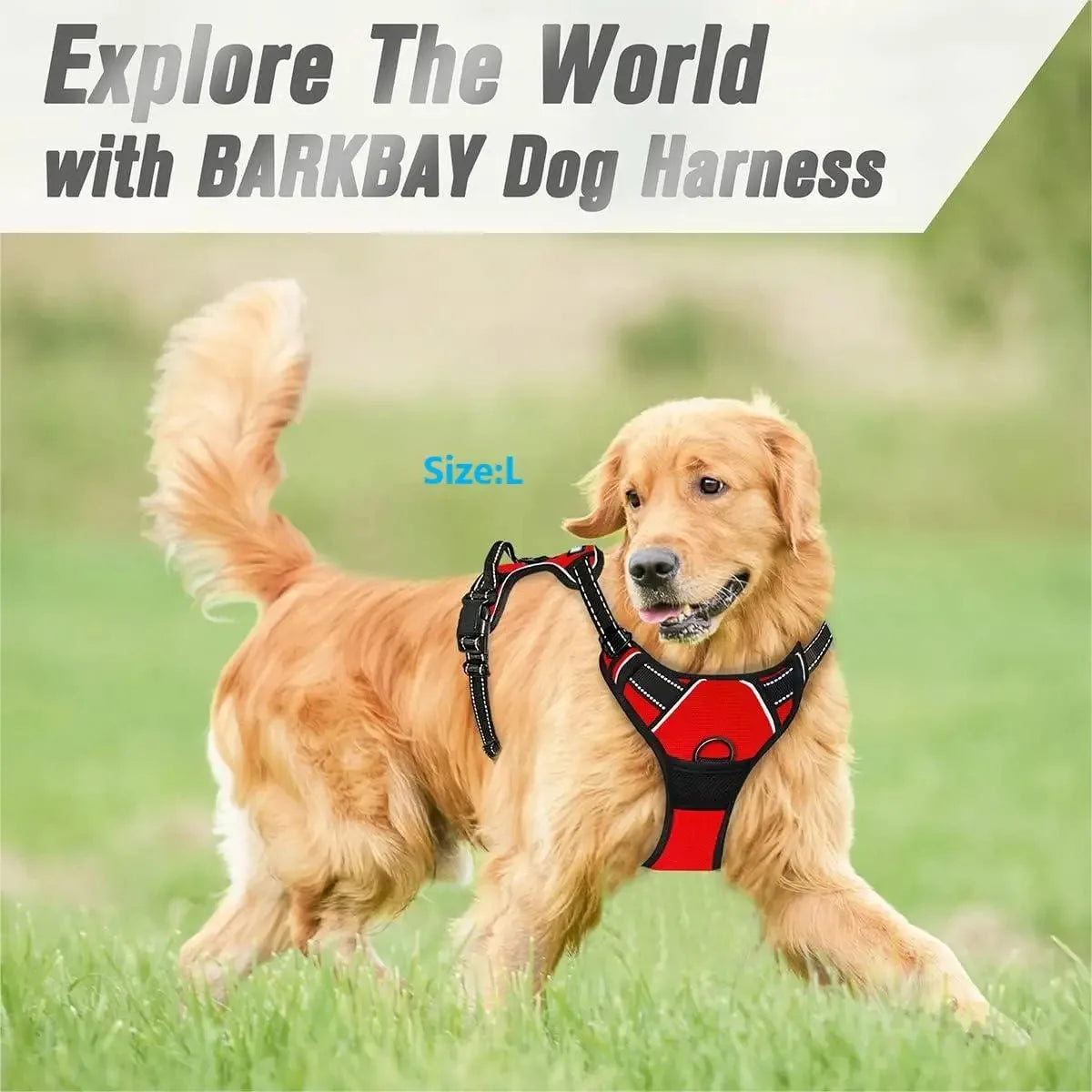 Conforable Dog Harness (8 Colors)