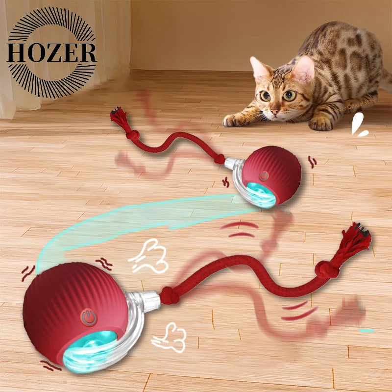 Cat Interactive Smart Rolling Ball