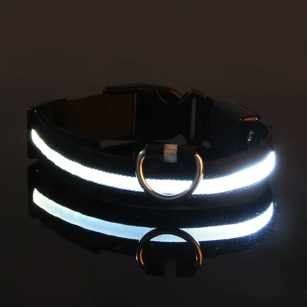 LED Nylon Dog Collar – Night Safety Glow Collar for Dogs
