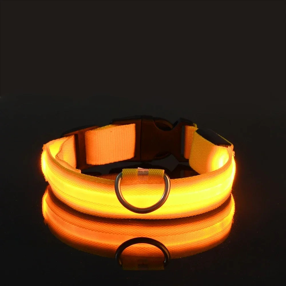 LED Nylon Dog Collar – Night Safety Glow Collar for Dogs