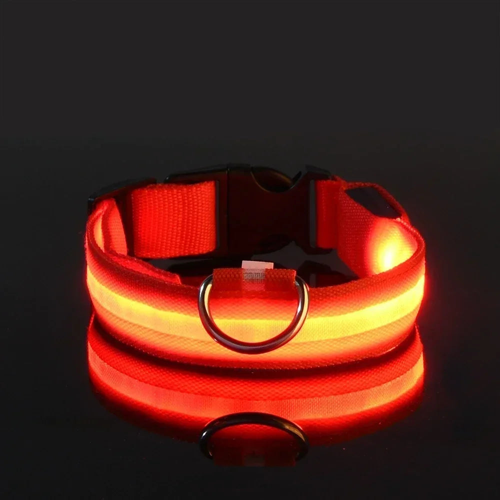 LED Nylon Dog Collar – Night Safety Glow Collar for Dogs