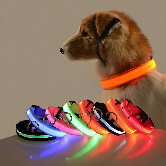 LED Nylon Dog Collar – Night Safety Glow Collar for Dogs