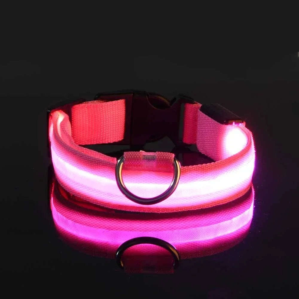 LED Nylon Dog Collar – Night Safety Glow Collar for Dogs