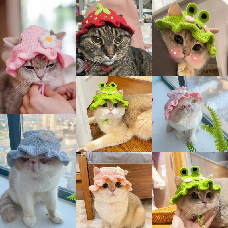 Knitted Pet Hat for Cats & Small Dogs