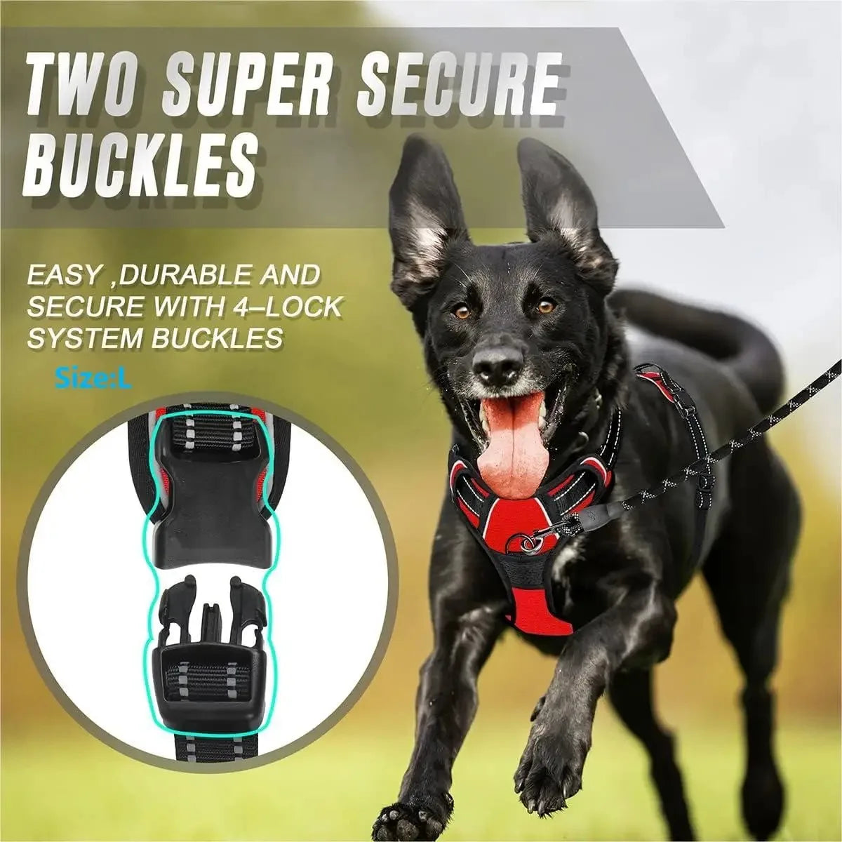 Conforable Dog Harness (8 Colors)