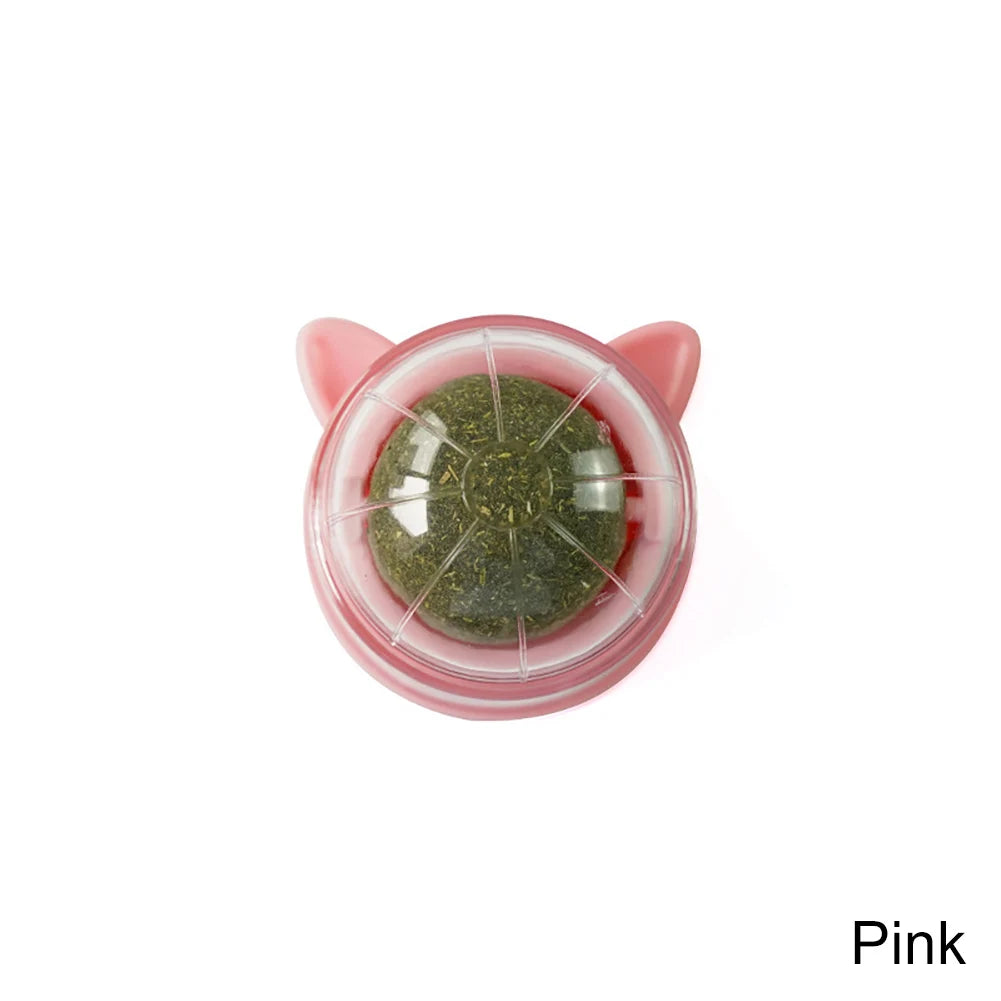 Catnip Lollipop Wall-Mounted Toy