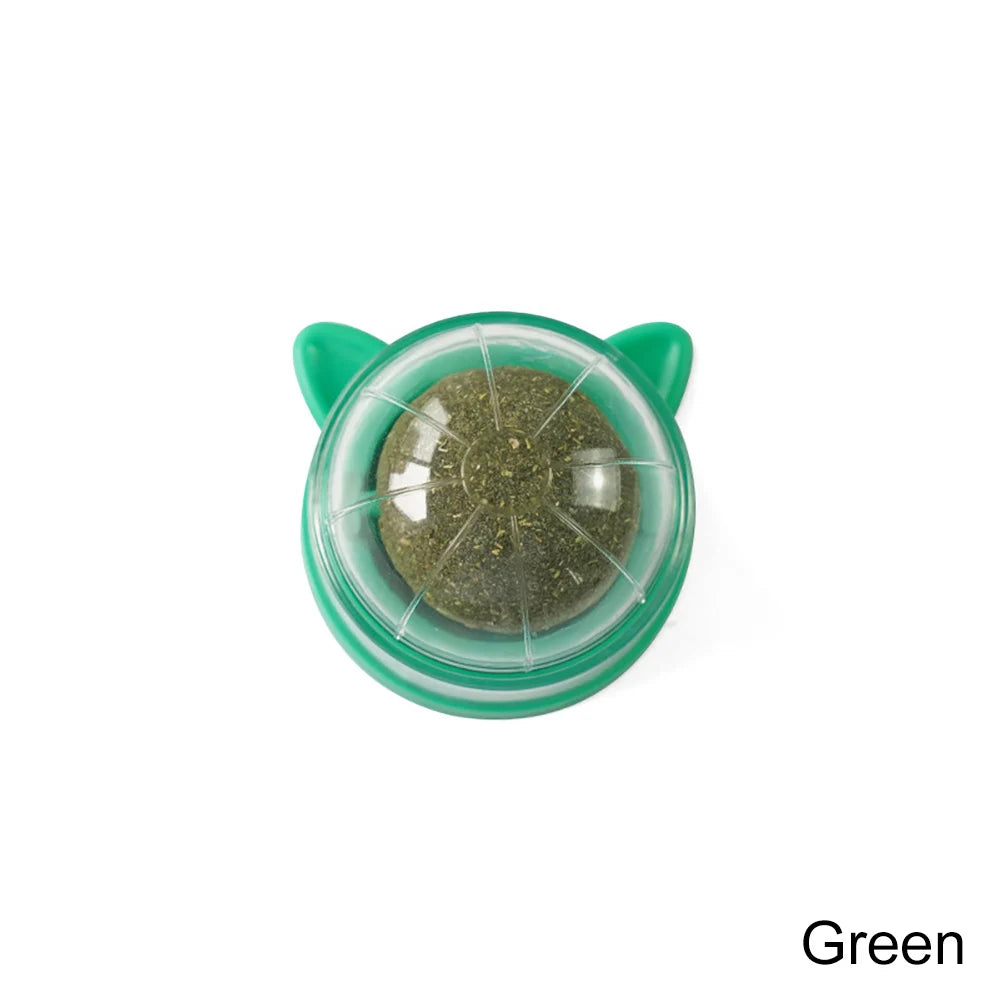 Catnip Lollipop Wall-Mounted Toy