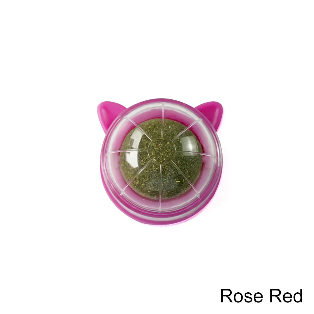 Catnip Lollipop Wall-Mounted Toy