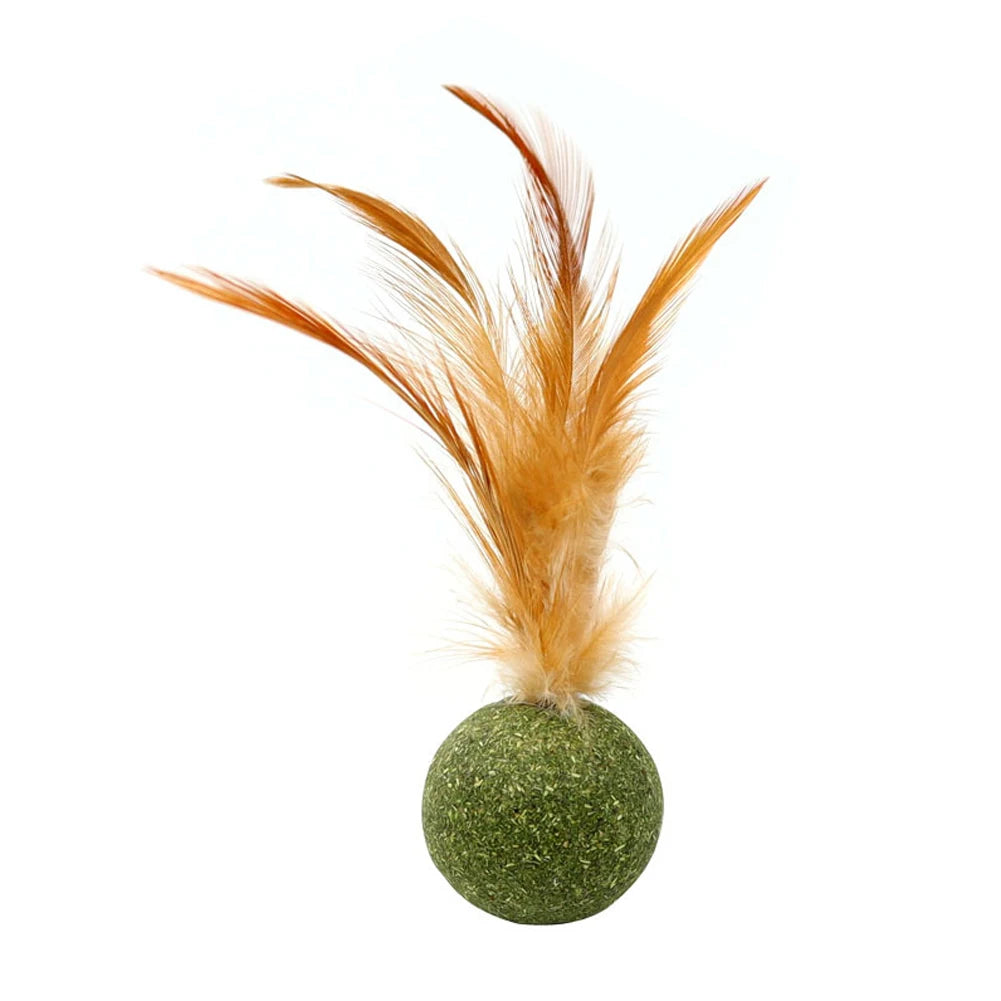 Catnip Lollipop Wall-Mounted Toy