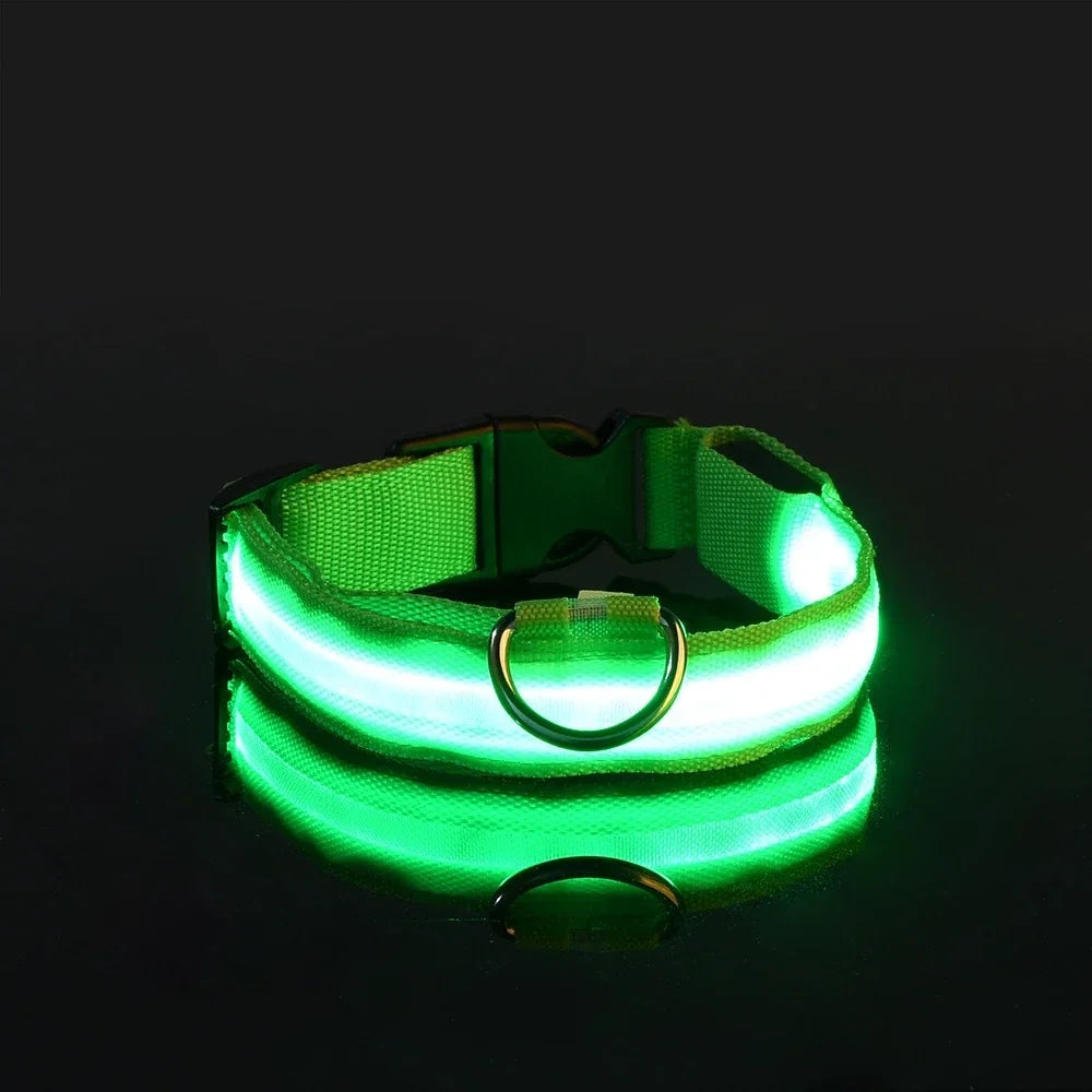 LED Nylon Dog Collar – Night Safety Glow Collar for Dogs