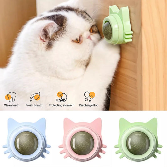 Catnip Lollipop Wall-Mounted Toy