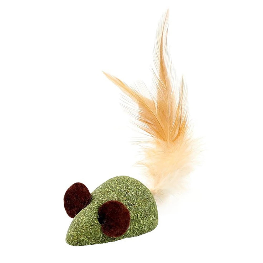 Catnip Lollipop Wall-Mounted Toy