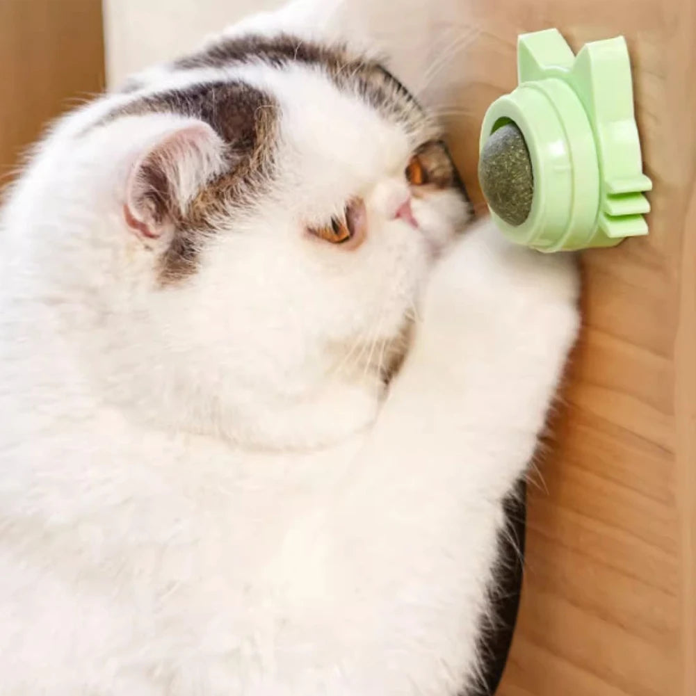 Catnip Lollipop Wall-Mounted Toy